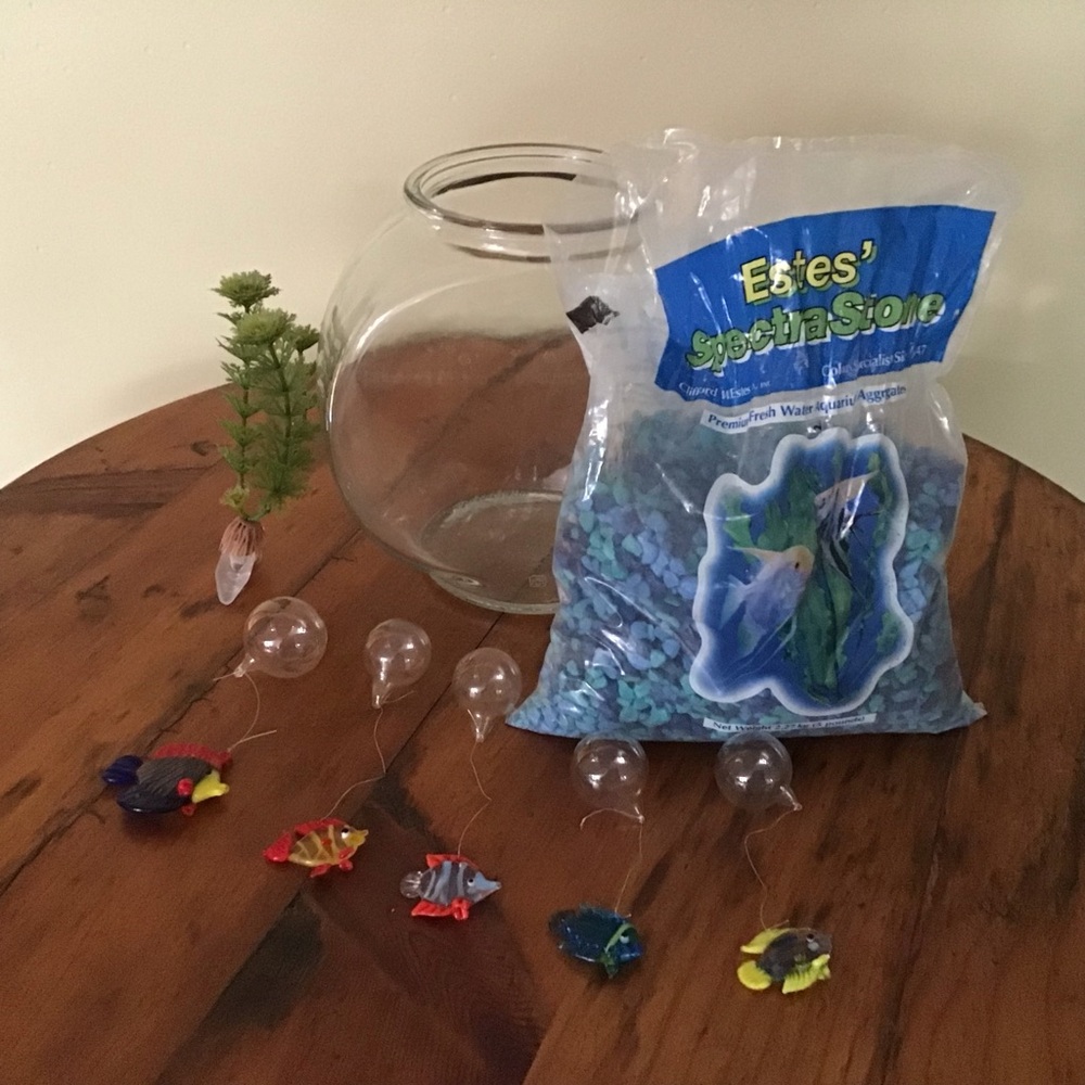 🐠Glass Fish Bowl Starter Kit🐠